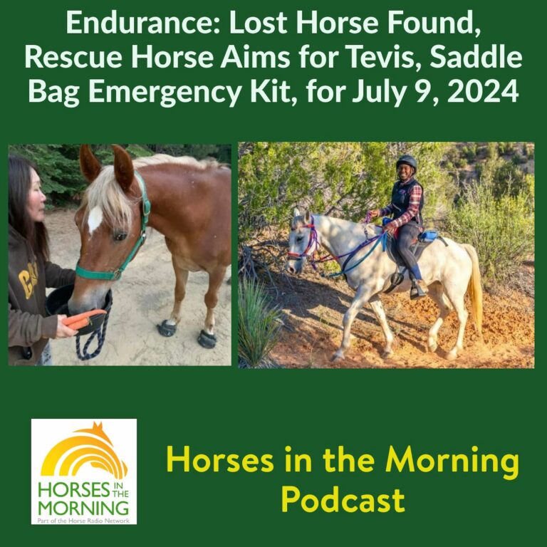 Endurance: Lost Horse Found, Rescue Horse Aims for Tevis, Bandana Tourniquet Saves the Day, for July 9, 2024