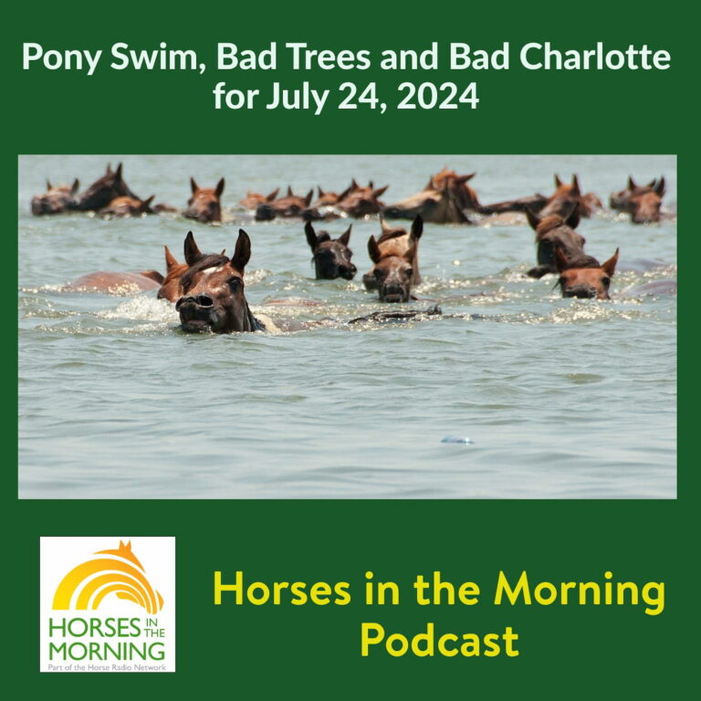 Pony Swim, Bad Trees and Bad Charlotte for July 24, 2024