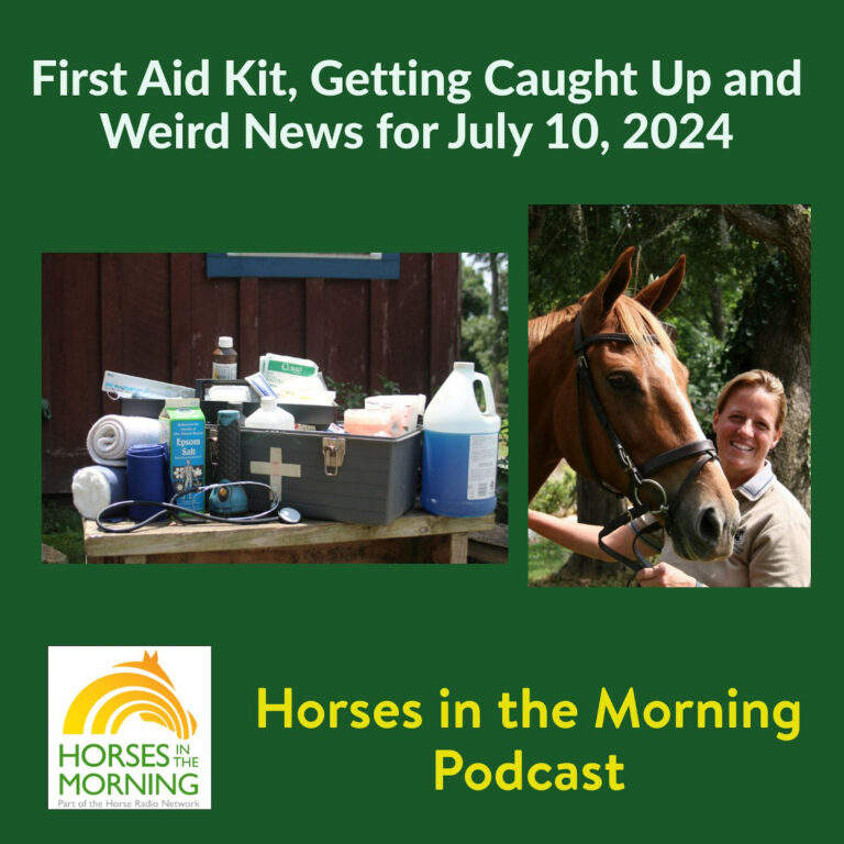 [Aggregator] Downloaded image for imported item #292792