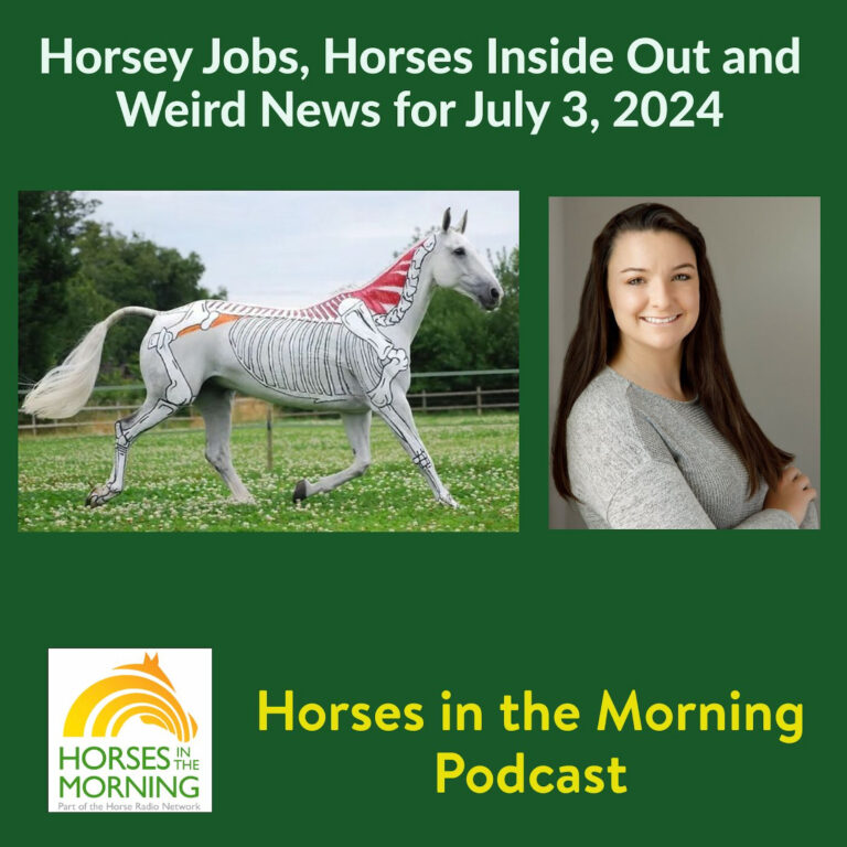 [Aggregator] Downloaded image for imported item #292798