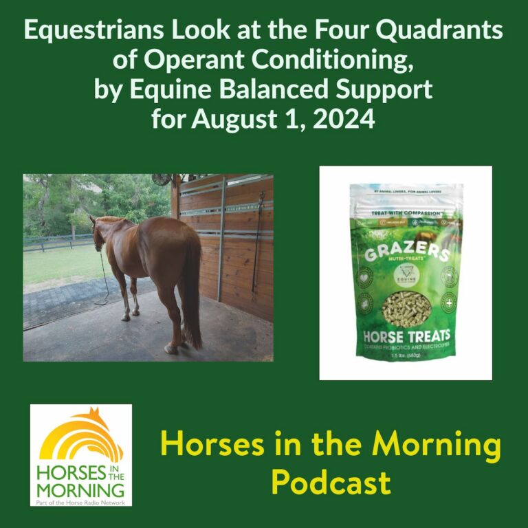 Equestrians Look at the Four Quadrants of Operant Conditioning, by Equine Balanced Support for August 1, 2024