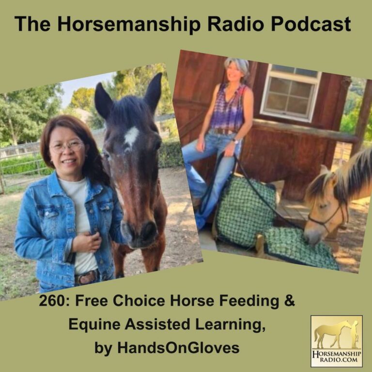 260: Free Choice Horse Feeding & Equine Assisted Learning, by HandsOnGloves