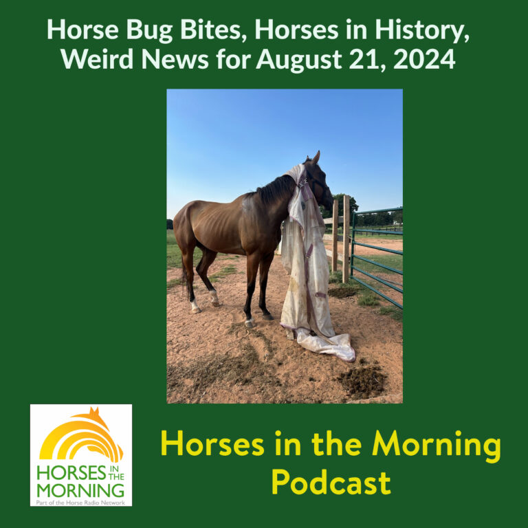 Horse Bug Bites, Horses in History, Weird News for August 21, 2024