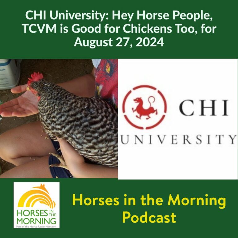 CHI University:  Hey Horse People, TCVM is Good for Chickens Too, for August 27, 2024 – HORSES IN THE MORNING