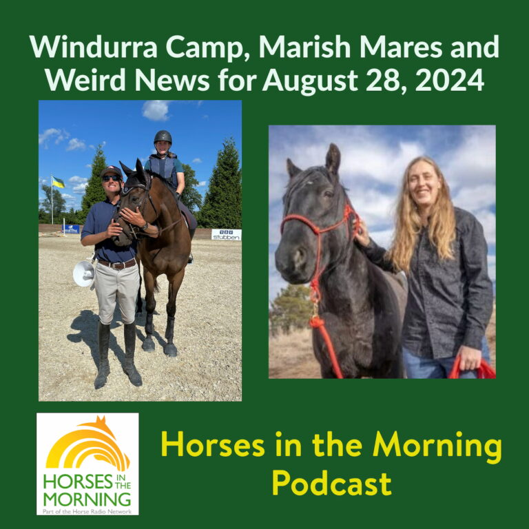 Windurra Camp, Marish Mares and Weird News for August 28, 2024