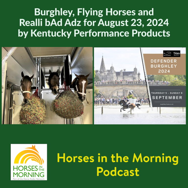 [Aggregator] Downloaded image for imported item #292991