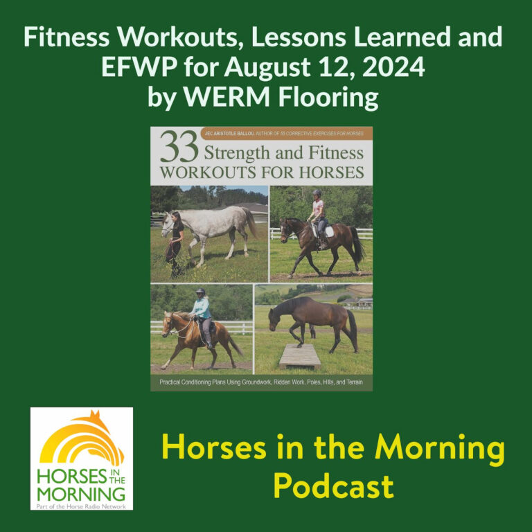 [Aggregator] Downloaded image for imported item #292999