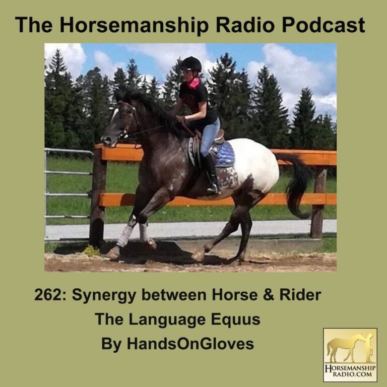 262: Synergy between Horse & Rider, The Language Equus, by HandsOnGloves
