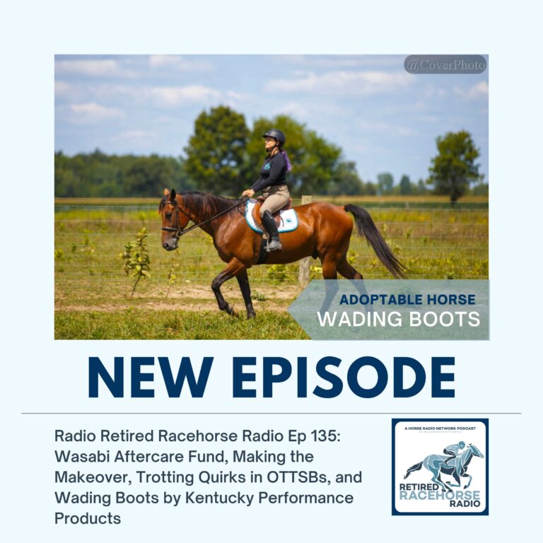 Wasabi Aftercare Fund, Making the Makeover, Trotting Quirks in OTTSBs, and Wading Boots by Kentucky Performance Products