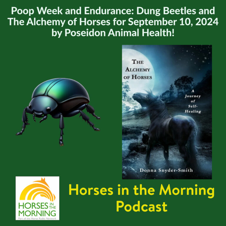 Poop Week and Endurance: Dung Beetles and The Alchemy of Horses for September 10, 2024 by Poseidon Animal Health