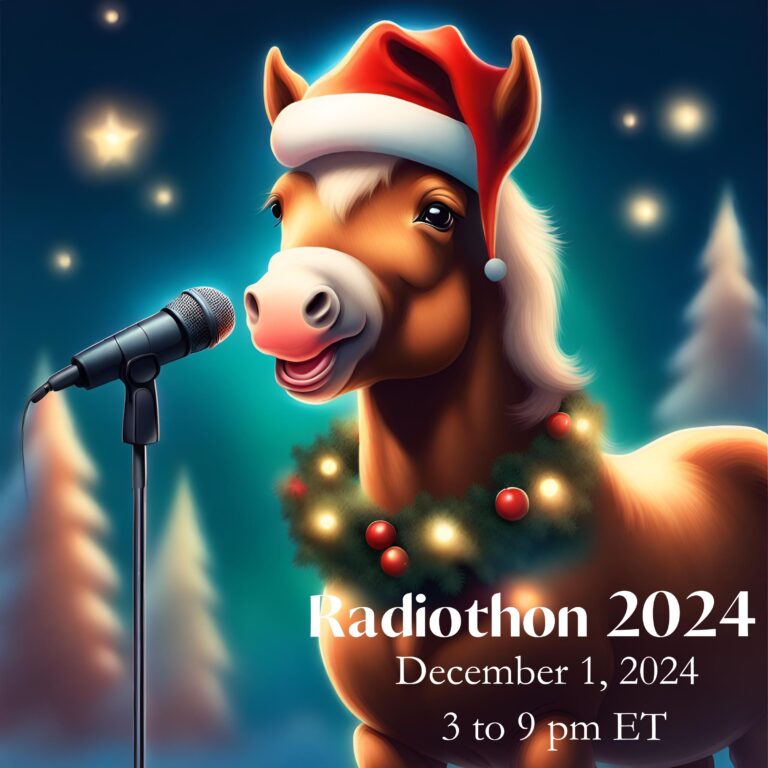 Announcing Holiday Radiothon 2024 – Win Big!