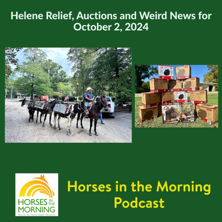 [Aggregator] Downloaded image for imported item #292744