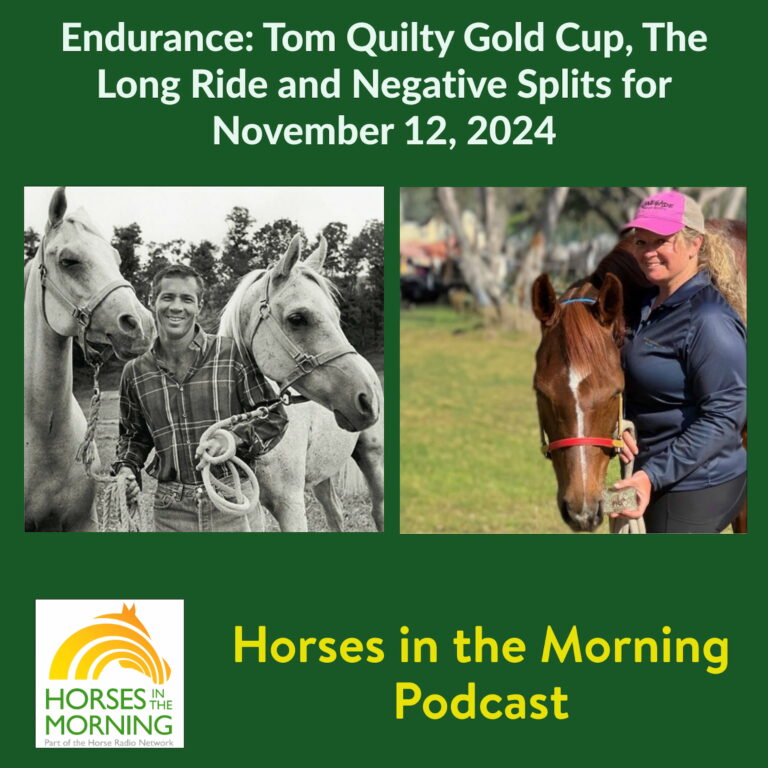Endurance:  Tom Quilty Gold Cup, The Long Ride and