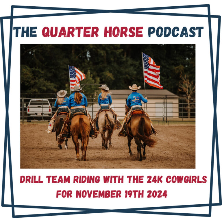 Quarter Horse: Drill Team Riding with the 24k Cowgirls for November 19th, 2024 by WERM Flooring – HORSES IN THE MORNING