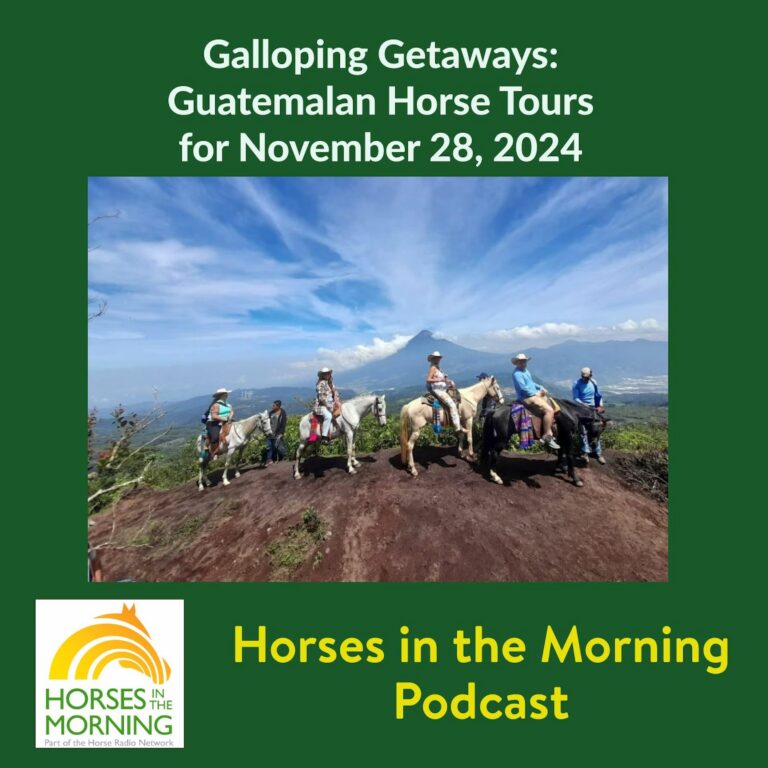 Galloping Getaways:  Guatemalan Horse Tours, for November 28, 2024 – HORSES IN THE MORNING
