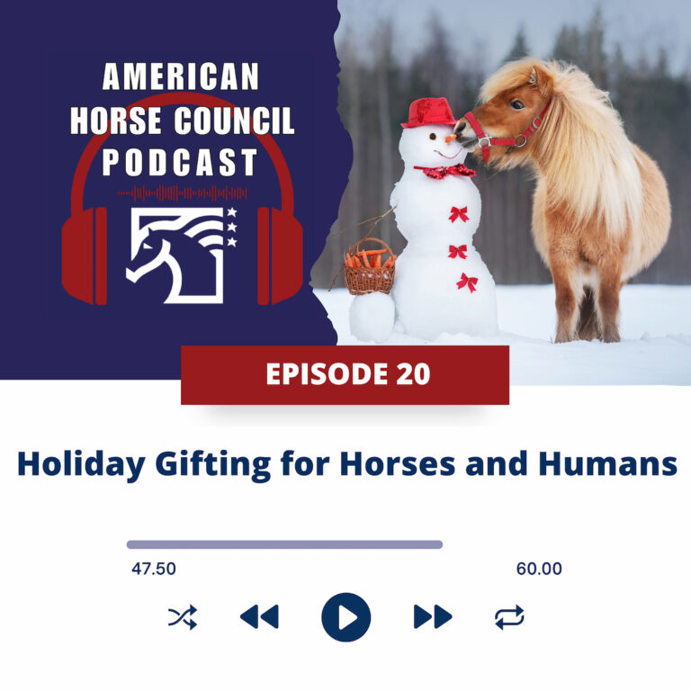 AHC: Holiday Gifting for Horses and Humans for December 3, 2024
