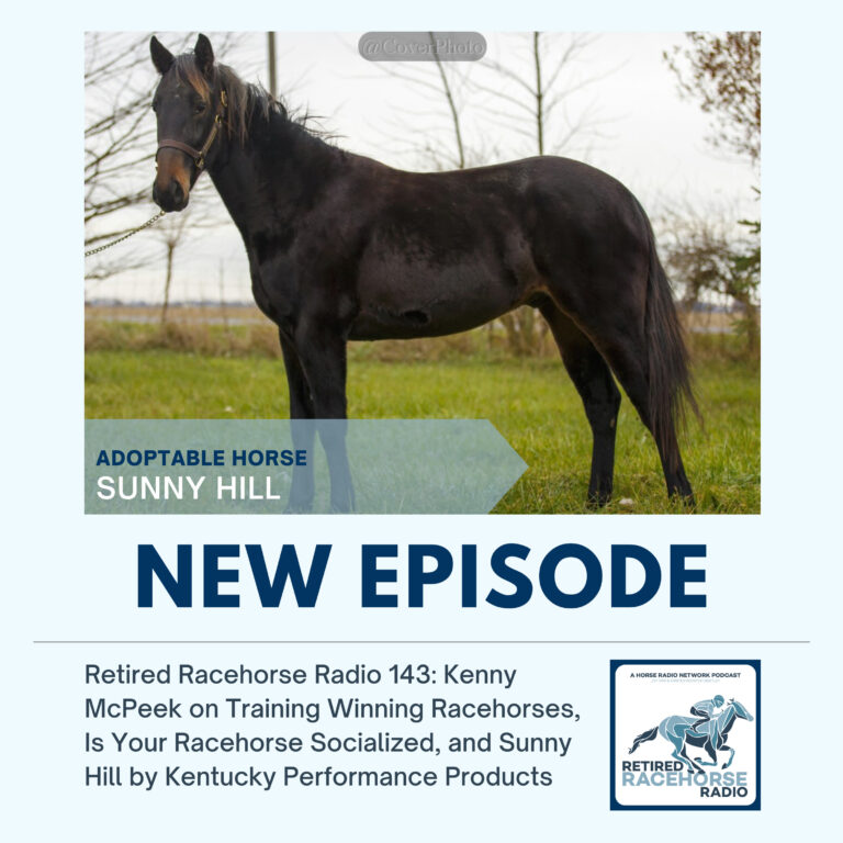 Training Winning Racehorses, Is Your Racehorse Socialized, and Sunny Hill by Kentucky Performance Products