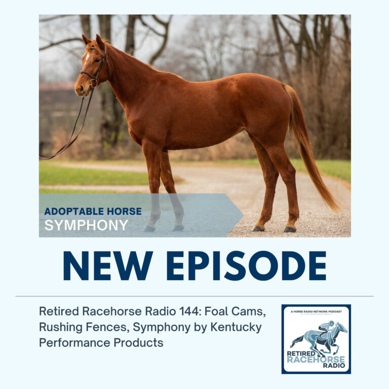 Foal Cams, Rushing Fences, SYMPHONY by Kentucky Performance Products