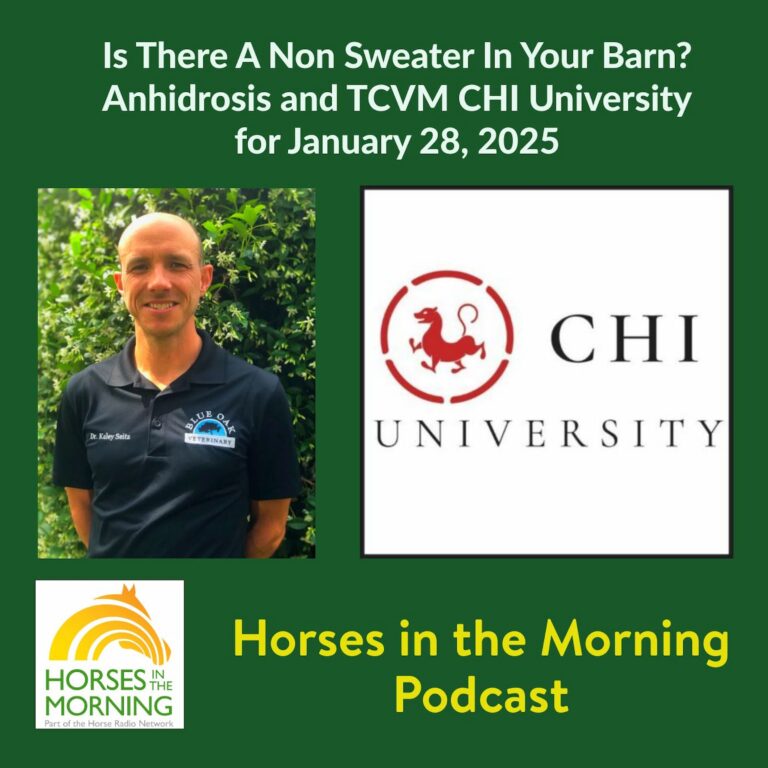 Is There A Non Sweater In Your Barn?  Anhidrosis and TCVM CHI University, for January 28, 2025