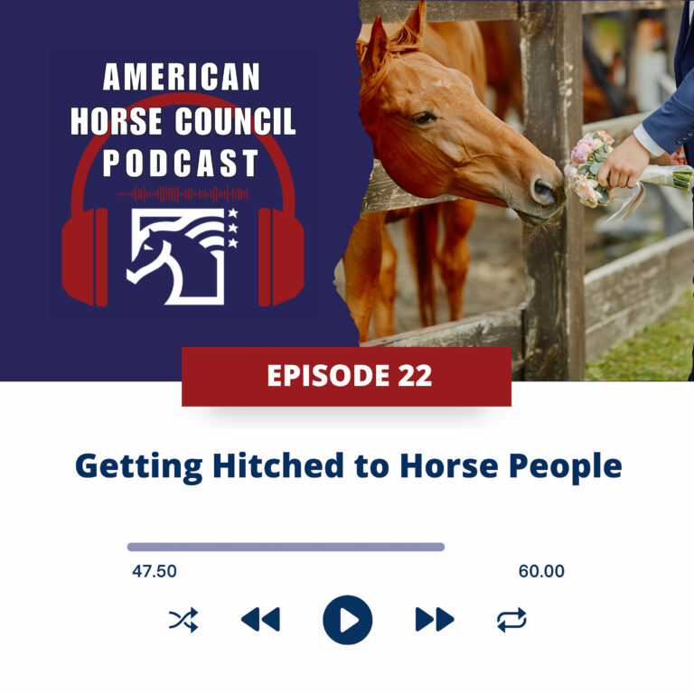 AHC: Getting Hitched to Horse People, and Update on the Horse Protection Act for February 4, 2025
