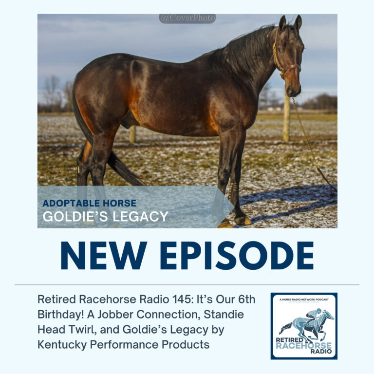 IT’S OUR 6TH BIRTHDAY! A Jobber Connection, Standie Head Twirl, Goldie’s Legacy by Kentucky Performance Products