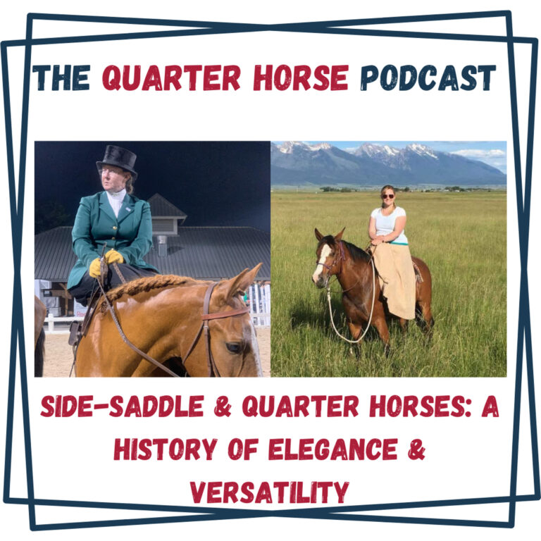 Side-Saddle & Quarter Horses: A History of Elegance & Versatility
