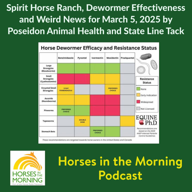 [Aggregator] Downloaded image for imported item #292641