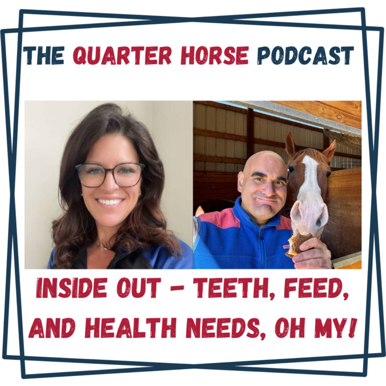 Quarter Horses Inside & Out – Teeth, Feed, and Health Needs, Oh MY! For Tuesday, May 20th, 2025