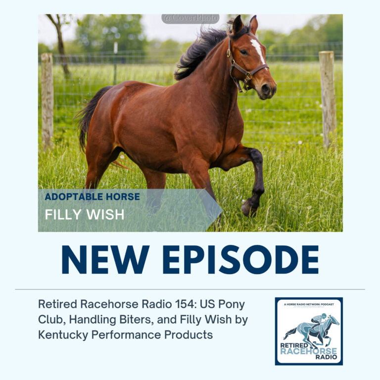 US Pony Club, Handling Biters, and Filly Wish by Kentucky Performance Products
