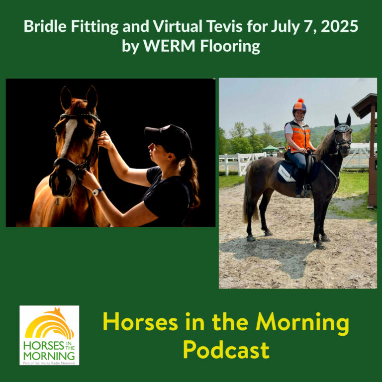 Bridle Fitting and Virtual Tevis for July 7, 2025 by WERM Flooring
