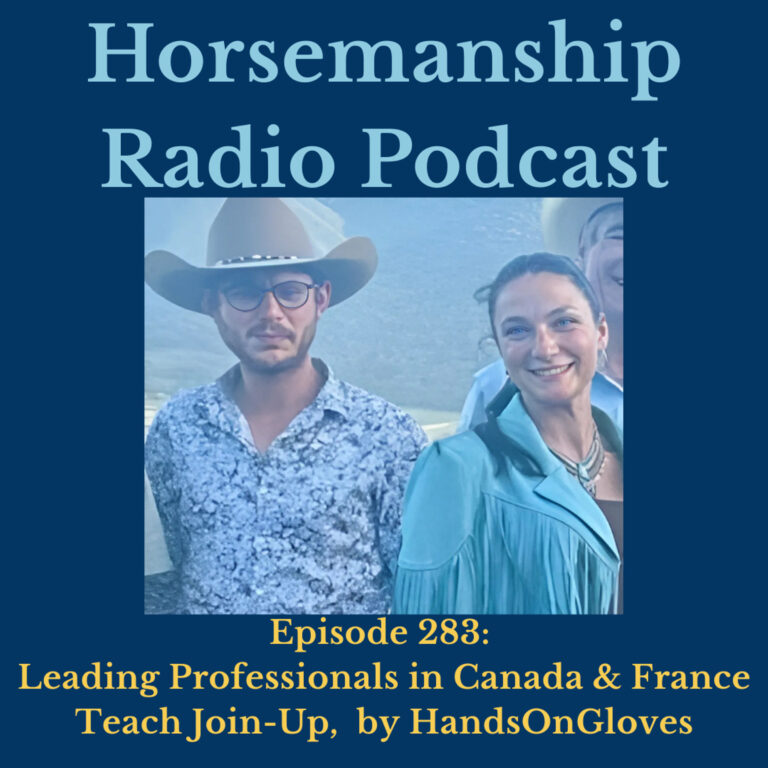 283: Leading Professionals in Canada & France Teach Join-Up,  by HandsOnGloves