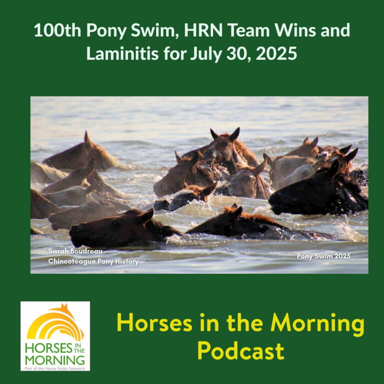 100th Pony Swim, HRN Team Wins and Laminitis for July 30, 2025