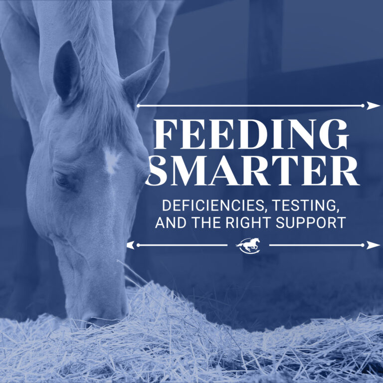 Feeding Smarter: Deficiencies, Testing, and the Right Support – The Horse HealthCast with SmartEquine