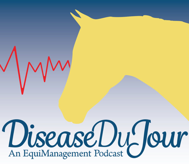 DDJ-Season2_1000x1000