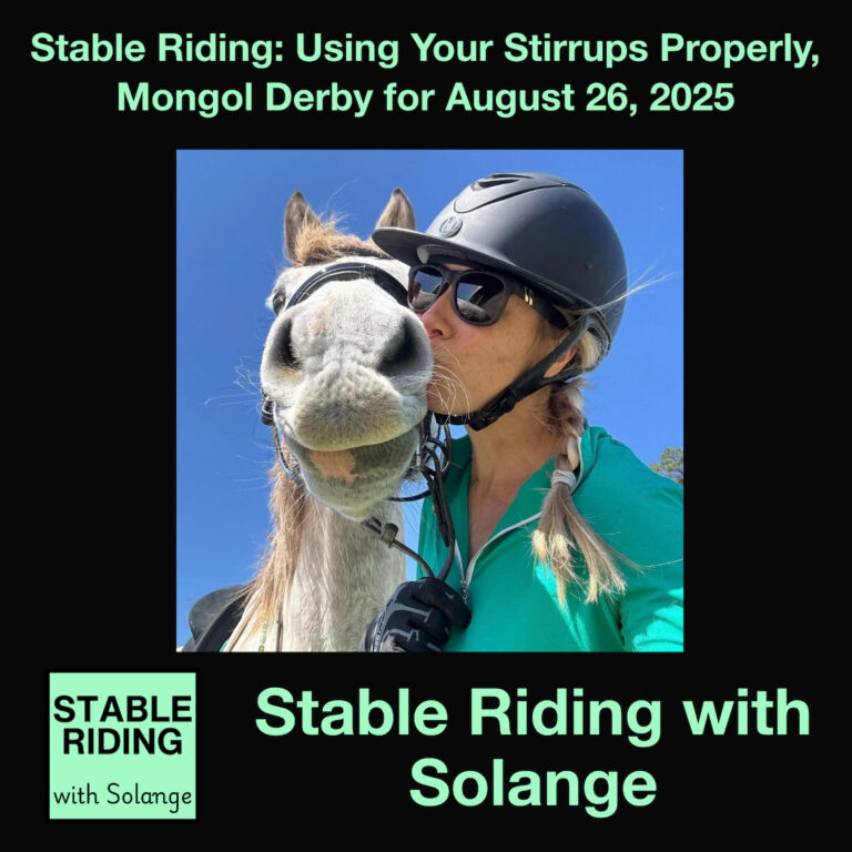 Stable Riding:  Using Your Stirrups Properly in the Mongol Derby for August 26, 2025