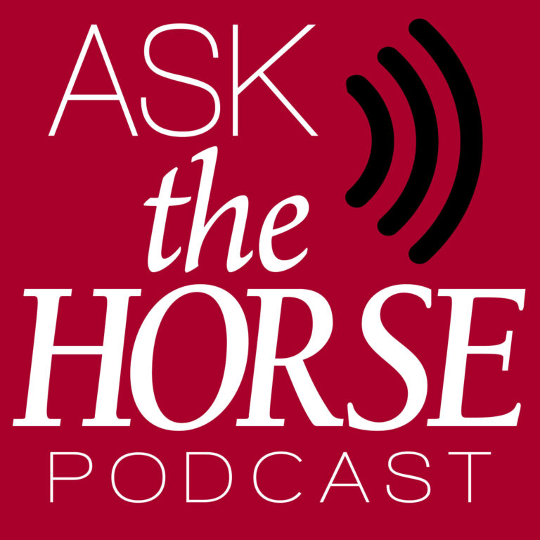 ask-the-horse-scaled-1