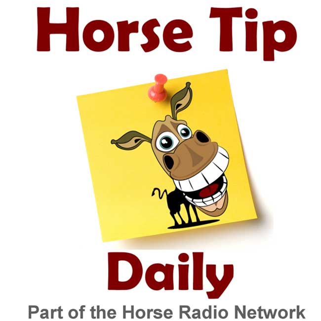 horse-tip-daily-1-logo