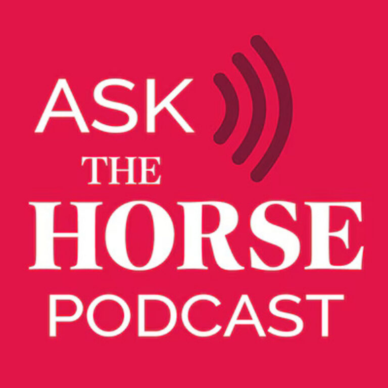 AskTheHorse (1)