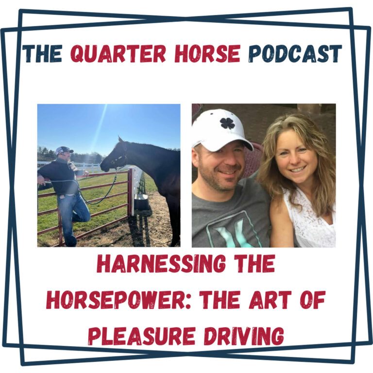 Quarter Horse – Harnessing the Horsepower: The Art of Pleasure Driving for September 16, 2025