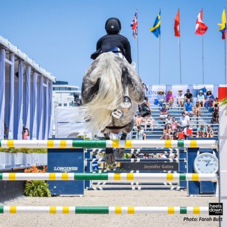 Horse Show Hacks For The Win