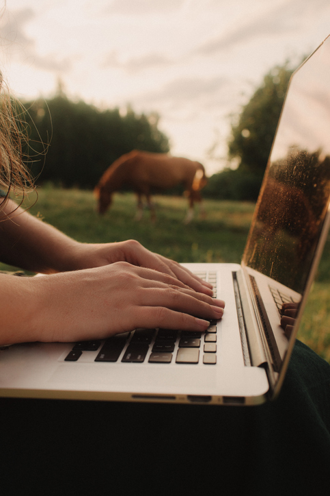 a03bf704-c25e-4df8-af96-c116c936a46e