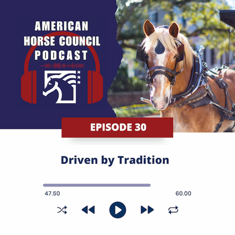 AHC:  Driven by Tradition for October 7, 2025 – HORSES IN THE MORNING