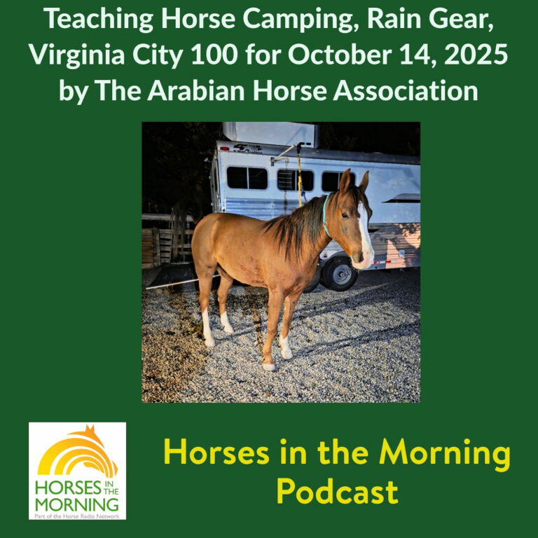 Teaching Horse Camping, Rain Gear, Virginia City 100 for October 14, 2025 by The Arabian Horse Association