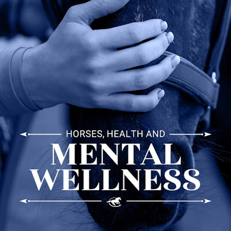 Horses, Health and Mental Wellness