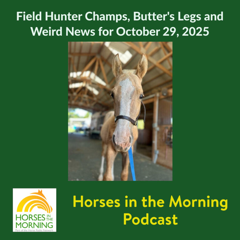 Field Hunter Champs, Butters Legs and Weird News for October 29, 2025 – HORSES IN THE MORNING