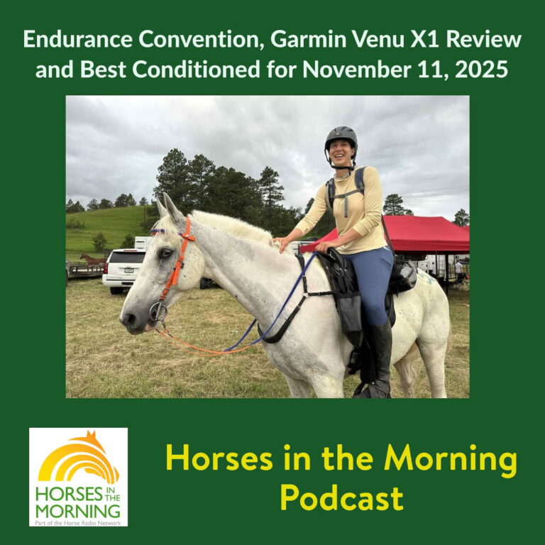 Endurance Convention, Garmin Venu X1 Review and Best Conditioned for November 11, 2025