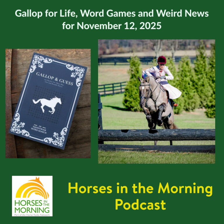 Gallop for Life, Word Games and Weird News for November 12, 2025