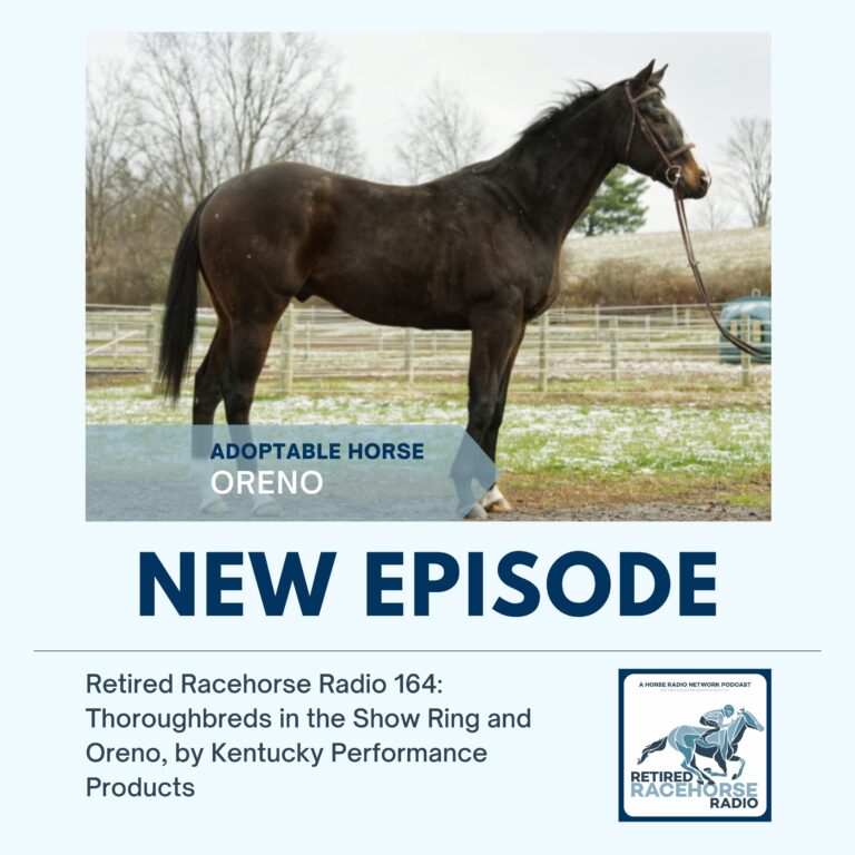 Thoroughbreds in the Show Ring and Oreno by Kentucky Performance Products