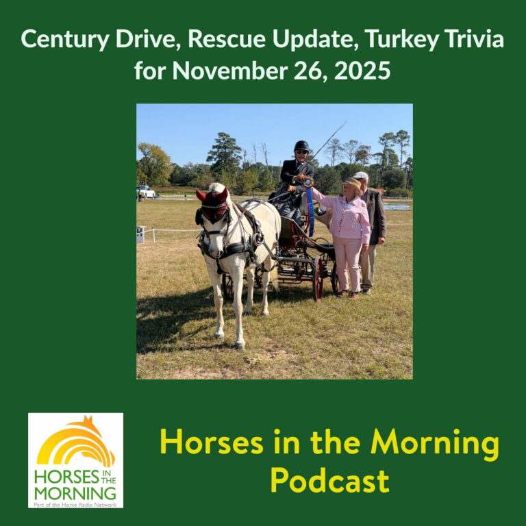 Century Drive, Rescue Update, Turkey Trivia for November 26, 2025 – Horses in the Morning