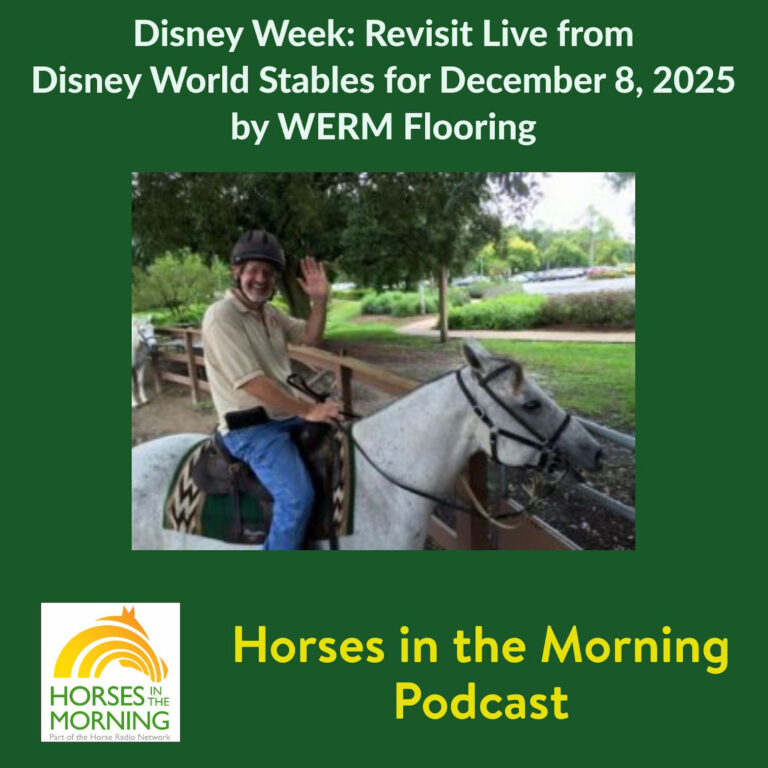 [Aggregator] Downloaded image for imported item #294254